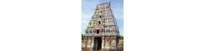 231. திருமாணிகுழி